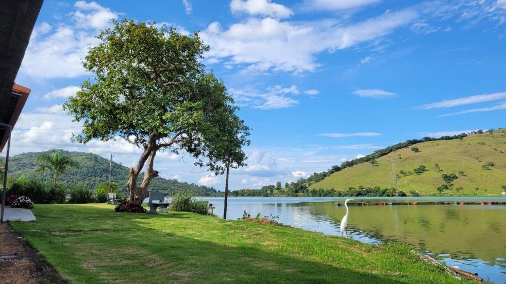 Gramado à beira do lago com árvore, banco e uma garça na margem